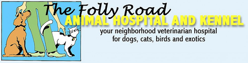 folly-rd-animal-hospital